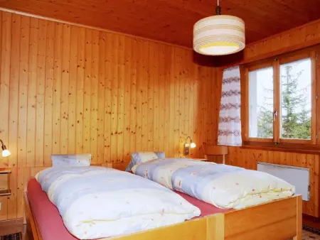 Bärgblüemli EG Süd, Appartement 4 personnes à Bettmeralp - Photo 17