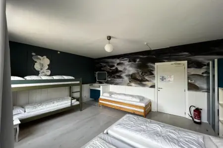 La Halte d'Ardennes, Ferme avec piscine intérieure - Photo 22