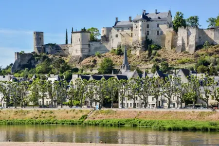Gite vallée de la Loire, Vallée de la Loire avec piscine - Photo 32