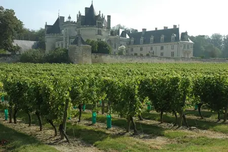 Gite vallée de la Loire, Vallée de la Loire avec piscine - Photo 33