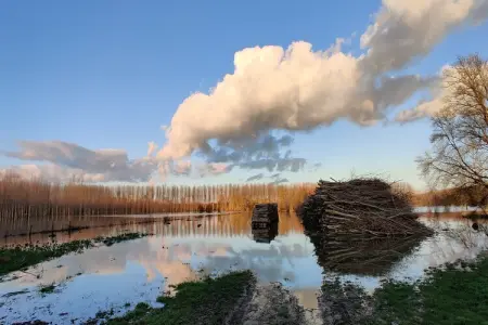 Gite vallée de la Loire, Vallée de la Loire avec piscine - Photo 39