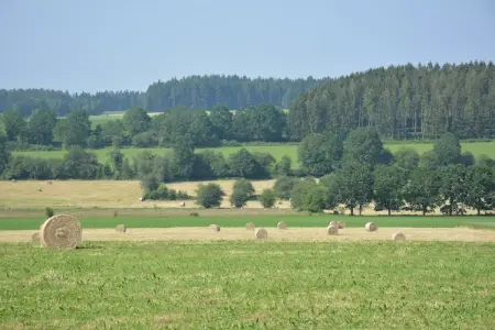 Les Boutons d'Or, Retraite spacieuse, Daverdisse - Photo 21