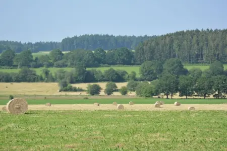 Les Boutons d'Or, Retraite spacieuse, Daverdisse - Photo 22