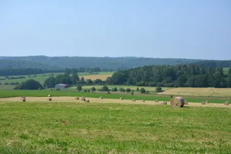 La Grange, Maison vintage avec animaux de compagnie - Photo 16
