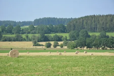 La Grange, Maison vintage avec animaux de compagnie - Photo 17