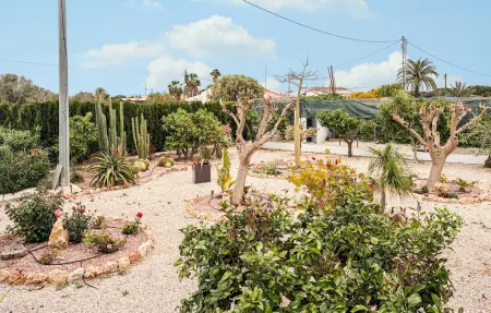Maison 23 personnes à La Marina, Elche - Photo 20