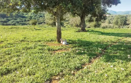 Maison 2 personnes à Son Carrió - Photo 17