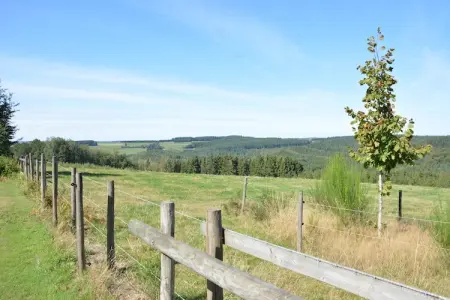 Chalet adapté aux animaux dans la Bièvre près de la forêt - Photo 20