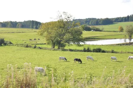 Chalet adapté aux animaux dans la Bièvre près de la forêt - Photo 21