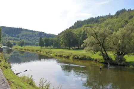 Chalet adapté aux animaux dans la Bièvre près de la forêt - Photo 27