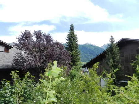 Diamant, Appartement 3 personnes à Zweisimmen - Photo 10