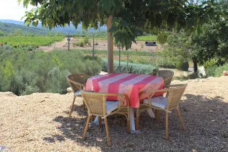Scotties Castle, Villa en Provence avec Piscine et Vignes - Photo 8