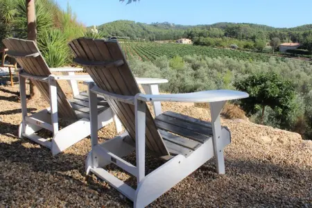 Scotties Castle, Villa en Provence avec Piscine et Vignes - Photo 12