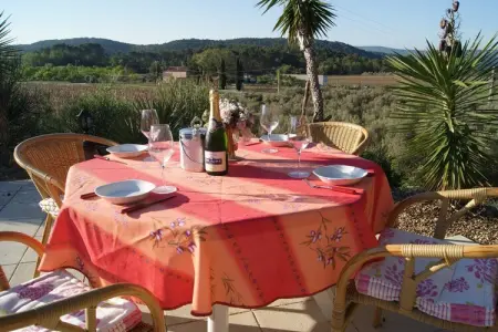 Scotties Castle, Villa en Provence avec Piscine et Vignes - Photo 20