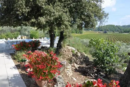 Scotties Castle, Villa en Provence avec Piscine et Vignes - Photo 22