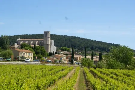 Scotties Castle, Villa en Provence avec Piscine et Vignes - Photo 29