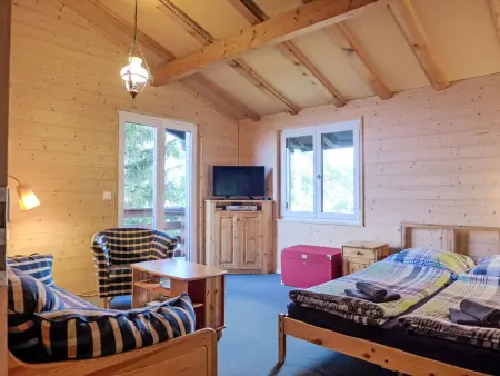 Chalet Ninette, Maison 4 personnes à Eischoll - Photo 7