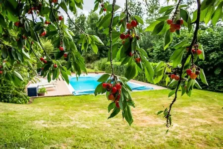 Puits Saint-Jean, Maison à Sint Jansrade avec piscine - Photo 39
