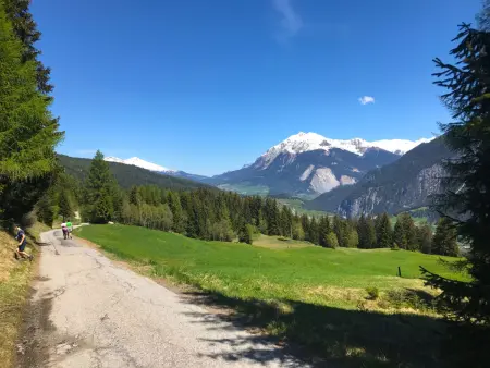 Sur Baselgia, Chalet 4 personnes à Savognin - Photo 26