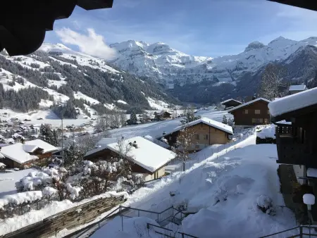 Chalet Waldchutz - Wohnung Anax, Appartement 4 personnes à Lenk - Photo 2
