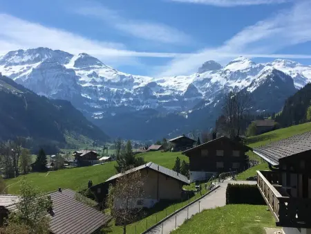 Chalet Waldchutz - Wohnung Anax, Appartement 4 personnes à Lenk - Photo 3
