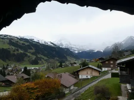 Chalet Waldchutz - Wohnung Anax, Appartement 4 personnes à Lenk - Photo 4