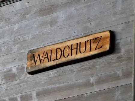 Chalet Waldchutz - Wohnung Anax, Appartement 4 personnes à Lenk - Photo 7