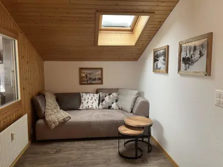 Chalet Waldchutz - Wohnung Anax, Appartement 4 personnes à Lenk - Photo 12