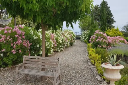 Villa à Camplong, Villa moderne à Camplong avec piscine privée - Photo 23