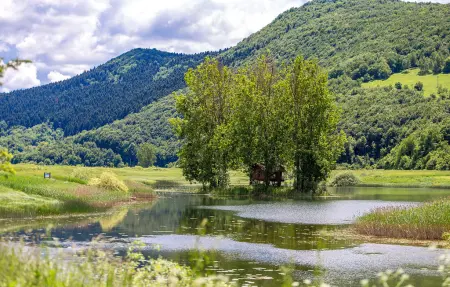 Maison 4 personnes à Trosmarija - Photo 33