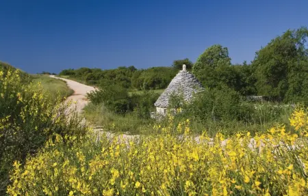 Maison 6 personnes à Barban - Photo 36