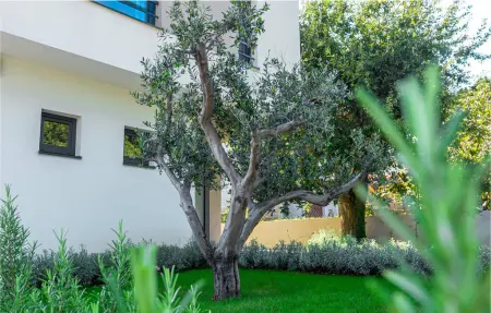 Maison 9 personnes à Premantura - Photo 14