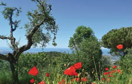 Villa Ortensia, Maison 9 personnes à Capezzano Pianore - Photo 17