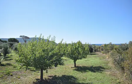Casa Bellelli, Maison 10 personnes à Castellabate - Photo 4
