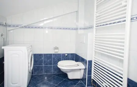 Maison 12 personnes à Rastovac - Photo 35