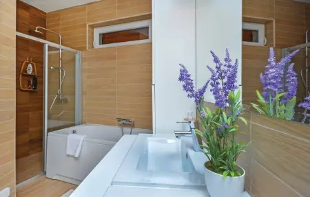 Maison 8 personnes à Slatine - Photo 50