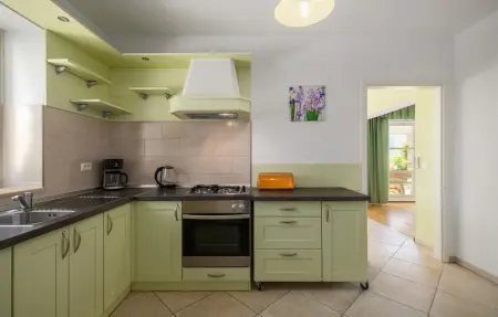 Maison 8 personnes à Golubovo - Photo 29