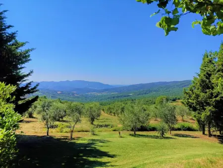 Al Vento, Gite 4 personnes à Monteverdi Marittimo - Photo 7
