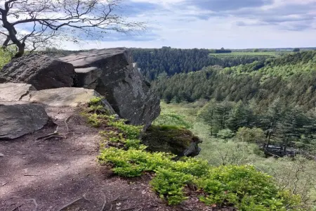 Adré l'Charles, Retraite nature à Waimes - Photo 30