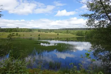 Adré l'Charles, Retraite nature à Waimes - Photo 31
