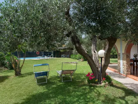 Bouganville, Villa 4 personnes à Bibbona - Photo 4