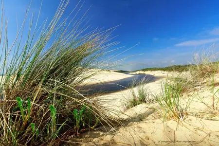 Maison à 10 min du Pilat, Escapade au bord de la piscine près d'Arcachon - Photo 22