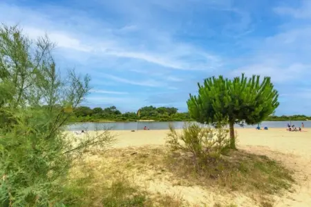 Maison à 10 min du Pilat, Escapade au bord de la piscine près d'Arcachon - Photo 26