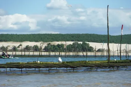 Maison à 10 min du Pilat, Escapade au bord de la piscine près d'Arcachon - Photo 28
