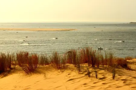 Maison à 10 min du Pilat, Escapade au bord de la piscine près d'Arcachon - Photo 31