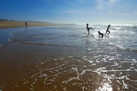 Maison à 10 min du Pilat, Escapade au bord de la piscine près d'Arcachon - Photo 34