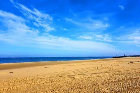 Maison à 10 min du Pilat, Escapade au bord de la piscine près d'Arcachon - Photo 37