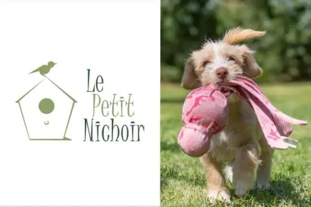 Le petit Nichoir, Retraite de rêve à Loubejac - Photo 22