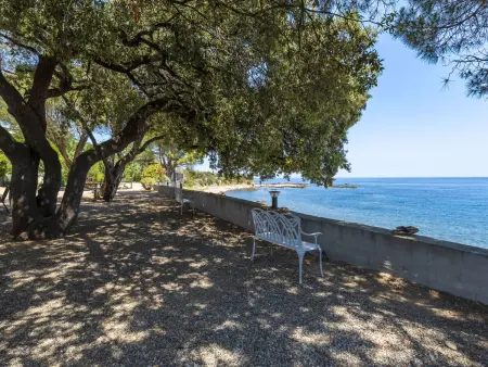Scorpina, Maison 5 personnes à Solenzara - Photo 26
