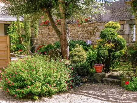 Manoir des Halles, Gite 6 personnes à Plouescat - Photo 3
